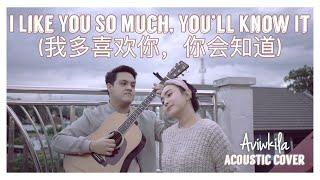 I Like You So Much, You’ll Know It (我多喜欢你，你会知道) - A Love So Beautiful OST (English Cover)