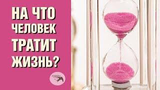 Жизнь человека. На что уходит жизнь человека