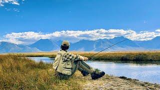 Fly Fishing One of the World's Most BREATHTAKING Rivers for Trout! (The Eastern Sierra)