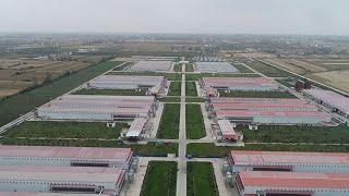 Modern Poultry Farm Project With 1.8 Million Layers Automated Chicken Cage Breeding Equipment System