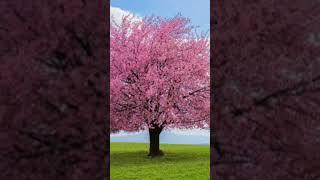 FREE] ACOUSTIC GUITAR TYPE BEAT | R&B POP | INSPIRED LIFE | #yourbeat #newinstrumental