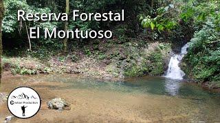 Reserva Forestal El Montuoso | Herrera