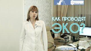 Как проводят ЭКО?