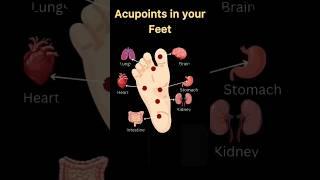 Leg’s point’s #shorts #krishna #flute #anatomy  #goviral #4k #workout #shortsfeed#khatushyam