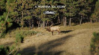 A Montana Elk Story - An RMEF Film