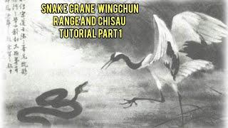 Snake crane wingchun Chisao  and distance tutorial - Part 1