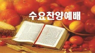 우리의 언어습관(철원만나교회)