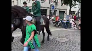 Düsseldorf - Live aus der Altstadt vom Festzug der Düsseldorfer Schützen 1316