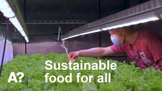 How to produce food sustainably for all? Researchers list main solutions globally