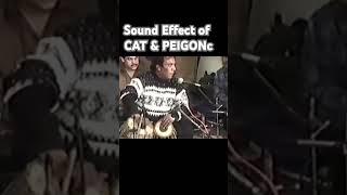 Ustad Tafu Khan Creations on tabla #tablashorts #drummer