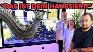 Aus TIERLIEBE - Frau hält Borstenwürmer im AQUARIUM