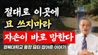 절대로 이곳에 묘 쓰지 마라자손이 바로 망한다🫢/ 경북대학교 총장 묘터 잡아준 이야기 [E.268]