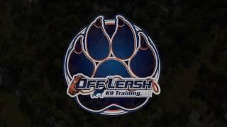 Off Leash K9 Training