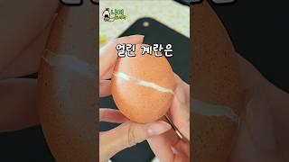 계란을 얼리면 먹을수 있을까?