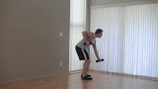 10 Min Beginners Workout - HASfit Low Impact Easy Workouts - Beginner Easy Exercises