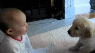 Baby and Puppy meet for the first time!