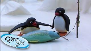 Pingu Goes Fishing With His Family!  @Pingu  1 Hour | Cartoons for Kids