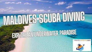 Maldives Scuba Diving: Explore an Underwater Paradise