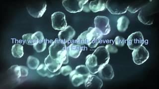 Introduction to Bacteria
