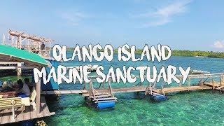 A Glimpse of Olango Island, Cebu