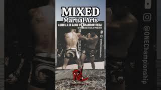 TECHNIQUES MIXED MARTIAL ARTS #kangzakkirtv #gasmipurba #shorts