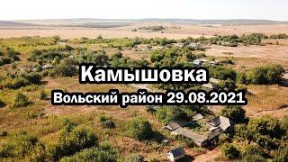 Камышовка 29.08.2021