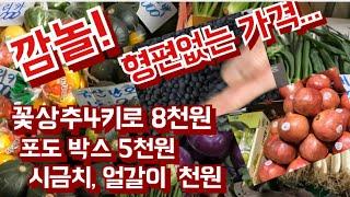 형편없는 가격에 농민들  근심  걱정됩니다.  포도 한상자 5천원 [삼산농산물도매시장]