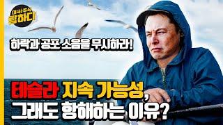 소음 무시! 테슬라는 지속 가능성의 거물, 테슬라 $100 근처로 떨어지면 주식은 선물