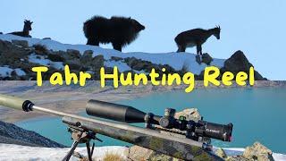 TAHR HUNTING HIGHLIGHTS REEL | GET FIZZING AND GET OUT THERE! KILL SHOTS - SLOW MO'S AND TRIGGER CAM