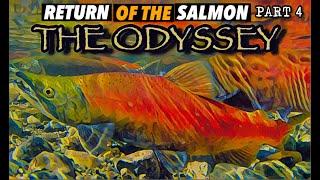 RETURN OF THE SALMON 4: THE ODYSSEY