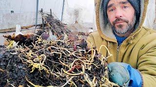 Chicken Compost System - Winter Testing
