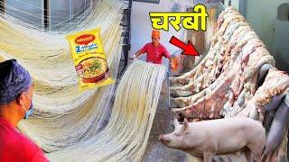 Factory में जानवरो की चर्बी से बनते है आपके पसंदीदा Noodles ? I How Noodles Are Made Inside Factory