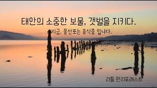 '갯벌은 휴식중' 갯벌 생태휴식제 홍보 영상