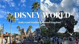 Disney’s Hollywood Studios and Animal Kingdom - WDW vlog 3