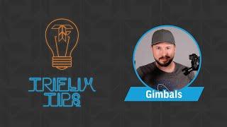 How to Use a Gimbal | TRIFLIX TIPS