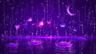 Heavenly Night  Calm Magic Sleep Music  Peaceful Deep Sleeping