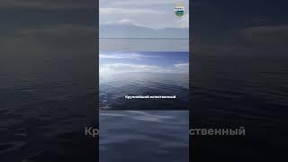 Озеро Байкал   самое глубокое озеро в мире