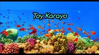 Toy Karayo with Lyrics Ilocano Song | Jemaron