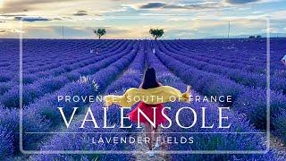 #Lavender Fields @Valensole, PROVENCE SOUTH OF FRANCE