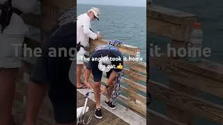 Giant Jack Crevalle Caught on Jacksonville Beach Pier