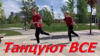 ЗАМЕЧАТЕЛЬНЫЙ СОСЕД! ШАФЛ