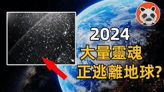 2024 大量靈魂逃離地球？矩陣失效？有大事發生？【熊貓周周】