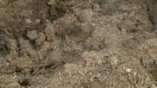 Compost | Redbud Soil Company | Oklahoma Organic Soil