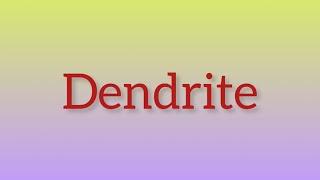 What is Dendrite?