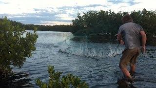 Cast Netting Tampa Bay Throwing Pancakes