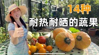 【Garden】14 heat-resistant vegetables and fruits 14种耐热又耐晒的蔬菜水果，第一名原来是它！炎炎烈日也能丰收！