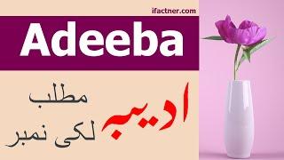 Adeeba meaning in Urdu | Adiba name meaning | Muslim girls Adeba name meaning in Urdu and English