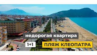 Недорогая квартира в центре Алании.  Купить недорого квартиру в Турции. пляж Клеопатры. с мебелью.