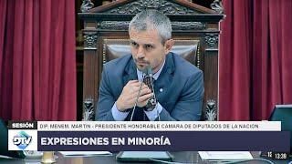 EXPRESIONES EN MINORÍA: 7 de agosto 2024 - Diputados Argentina | COMPLETA