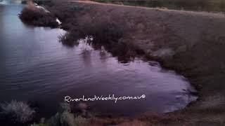 Renmark North SA Flood Plains at 191 GL in Floods Emergency 2022